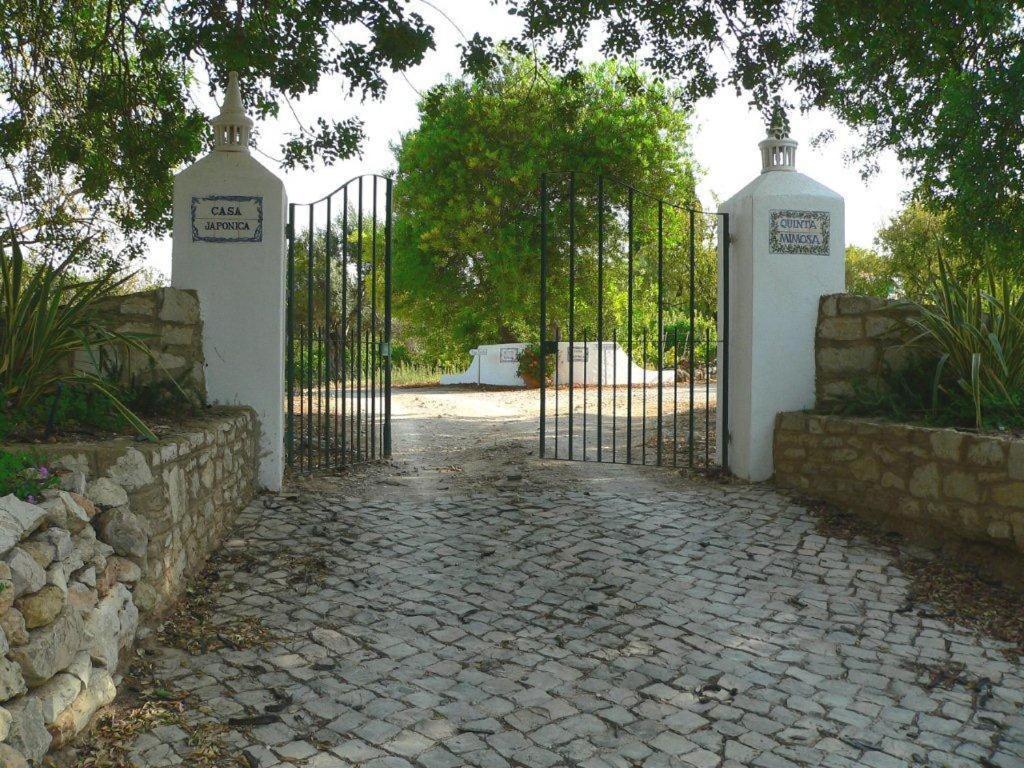 Quinta Mimosa Hotel Loulé Kültér fotó