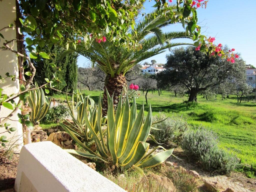 Quinta Mimosa Hotel Loulé Szoba fotó