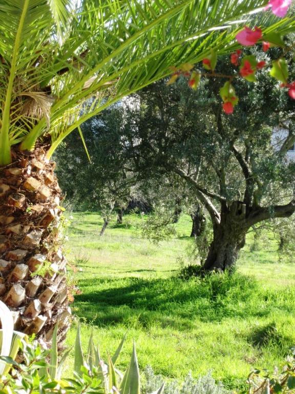 Quinta Mimosa Hotel Loulé Szoba fotó